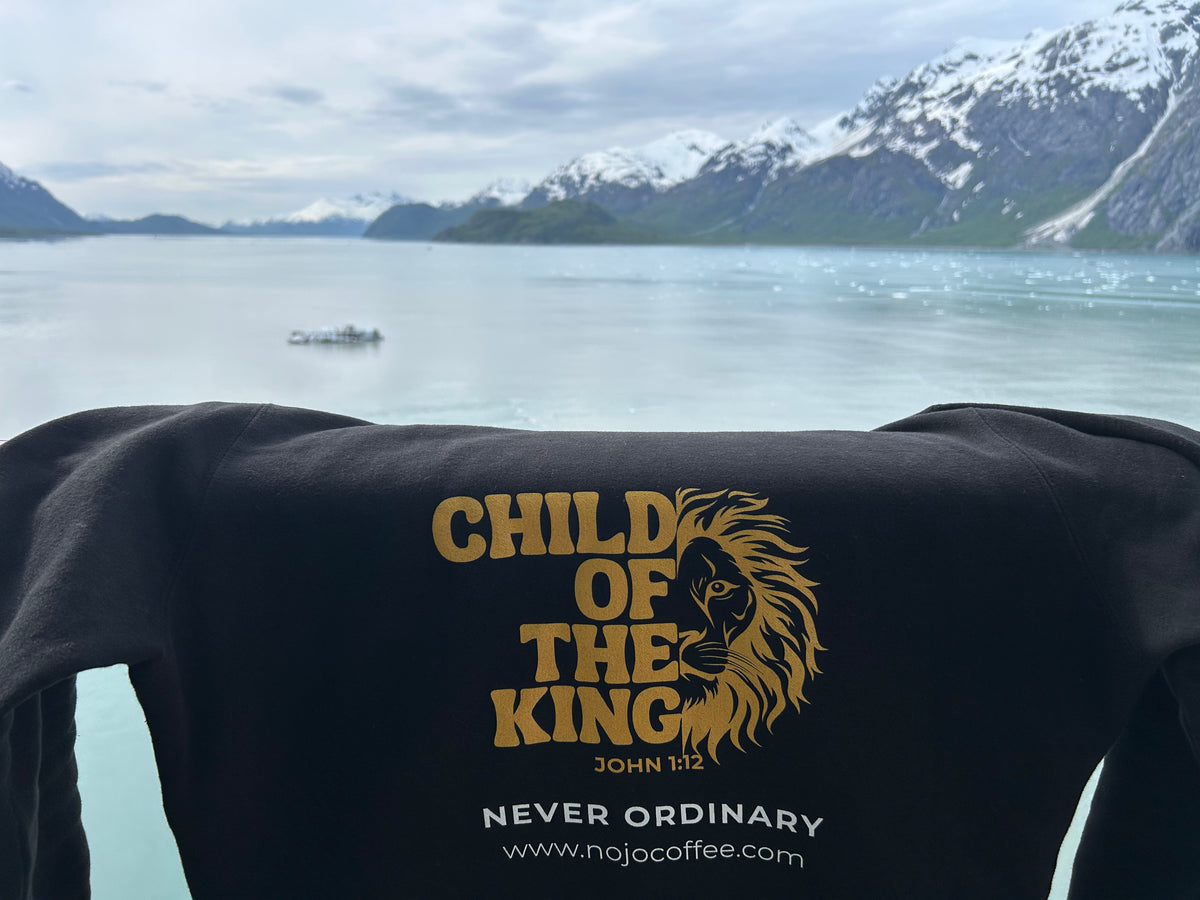 Child of the King Black Hoodie