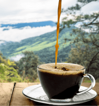 Altitude Adjustment - Guatemalan - NOJO COFFEE