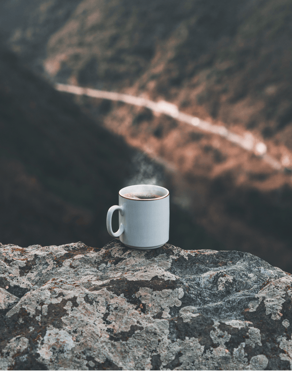 Equator's Edge - Ecuadorian - NOJO COFFEE