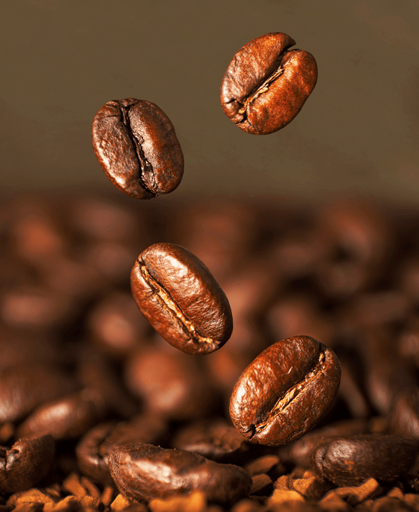 Mojo Drip - Breakfast Blend - NOJO COFFEE